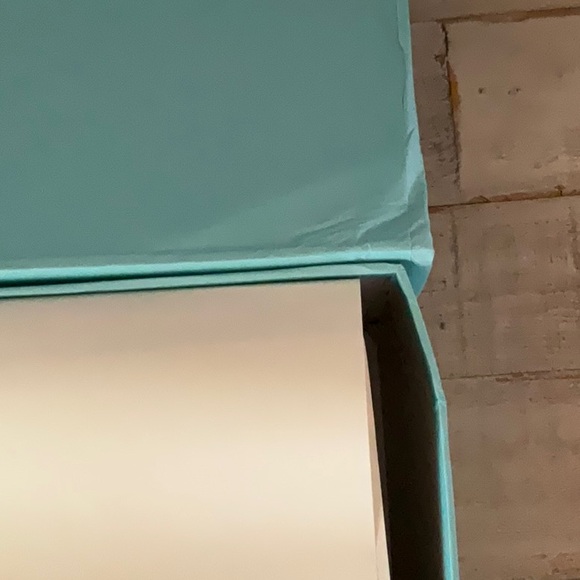 Lanvin Mens Size 44 Sneakers - Picture 16 of 16